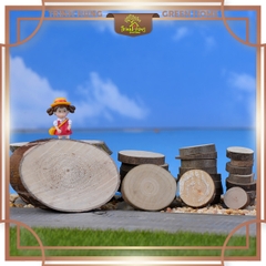 Miếng gỗ tròn (10 miếng) THMN781