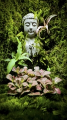 Terrarium "bái phật trong rừng"