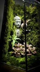 Terrarium "bái phật trong rừng"