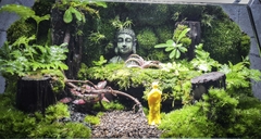 Terrarium Bus "bái phật trong rừng"
