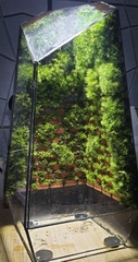 Terrarium "tường gạch"