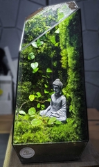 Terrarium "tường gạch"