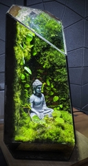 Terrarium "tường gạch"