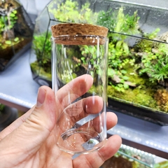 Lọ thủy tinh nắp bấc