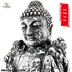 Diện phật tựa sơn
