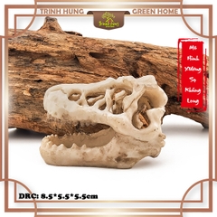 Mô hình sọ khủng long T-Rex