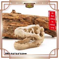 Mô hình sọ khủng long T-Rex