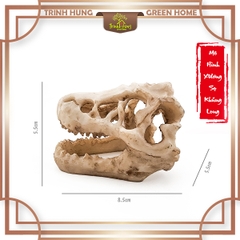 Mô hình sọ khủng long T-Rex