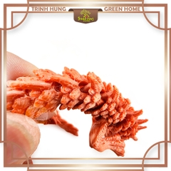Rồng có khớp in 3D