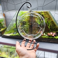 Bóng thủy tinh