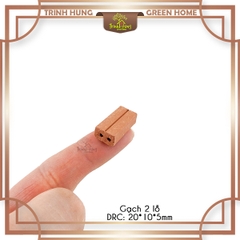 10 viên gạch đỏ mini - 2 lỗ