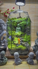 Terrarium Bus "Nhất tâm bái phật"