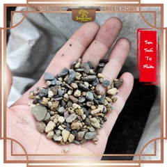 Sạn suối 1kg