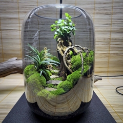 Bình "lối mòn"