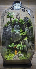 Terrarium "Phật ngự trên cao"
