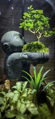 Bình "chú tiểu bưng chậu cây"