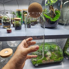 Bình thủy tinh nắp bấc cầu
