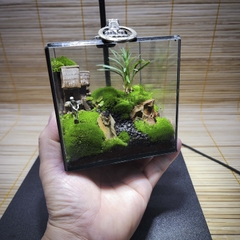Terrarium cubic 10 "Lão nông"