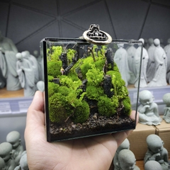 Terrarium cubic 10 "Dạo chơi"