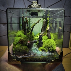 Terrarium cubic 10 "câu cá"
