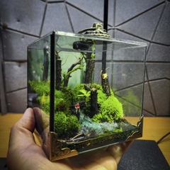 Terrarium cubic 10 "câu cá"