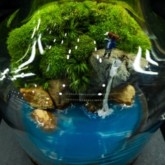 Bình Terrarium "thám hiểm"
