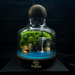 Bình Terrarium "thám hiểm"