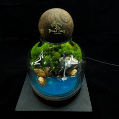 Bình Terrarium "thám hiểm"