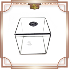 Bể cubic 10*10cm