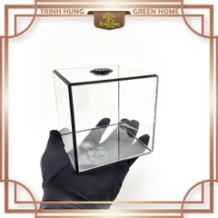 Bể cubic 10*10cm TRBK2064