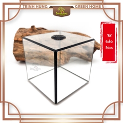 Bể cubic 10*10cm TRBK2064