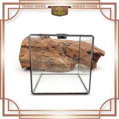 Bể cubic 10*10cm TRBK2064