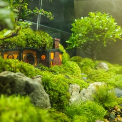 Nhà Hobbit in 3D