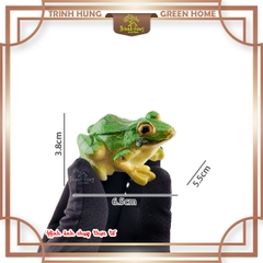 Mô hình ếch THMN2127