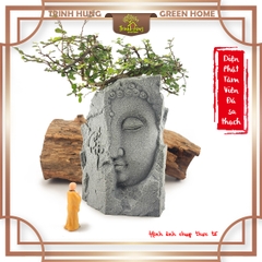 Tượng Diện Phật Tâm Viên (chậu đá) đá sa thạch ST.PVN2443