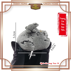 Cóc ôm núi tiền đá sa thạch ST.PVN2448