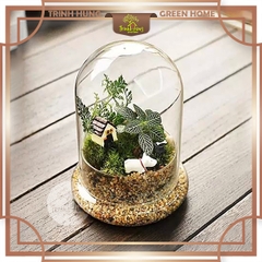 Bình thủy tinh Terrarium chuông nắp chụp