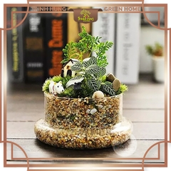 Bình thủy tinh Terrarium chuông nắp chụp