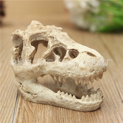 Mô hình sọ khủng long T-Rex