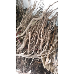 Rễ rừng setup bể thủy sinh, bán cạn, Terrarium SL 100Gram