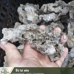 Đá tai mèo 1kg setup tiểu cảnh bán cạn, terrarium, ghép bonsai