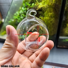 Bóng thủy tinh