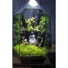 Rêu cỏ hộp 2 lớp