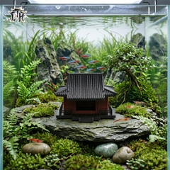 Mô hình nhà cổ trung quốc - nhà không cửa
