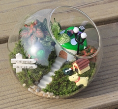 Bình thủy tinh tròn miệng lệch