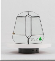 Bể kính Terrarium TRBK