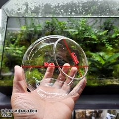 Bình thủy tinh tròn miệng lệch