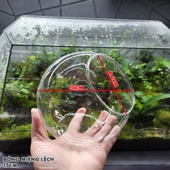 Bình thủy tinh tròn miệng lệch