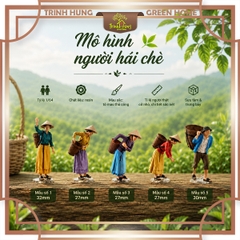 Mô hình người hái chè in 3D sắc nét