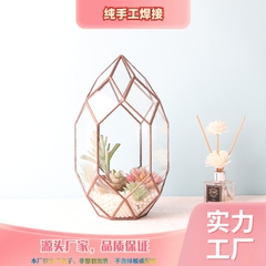 Bể Terrarium viền kim loại